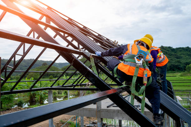 Best Roof Gutter Cleaning  in Harwich Port, MA
